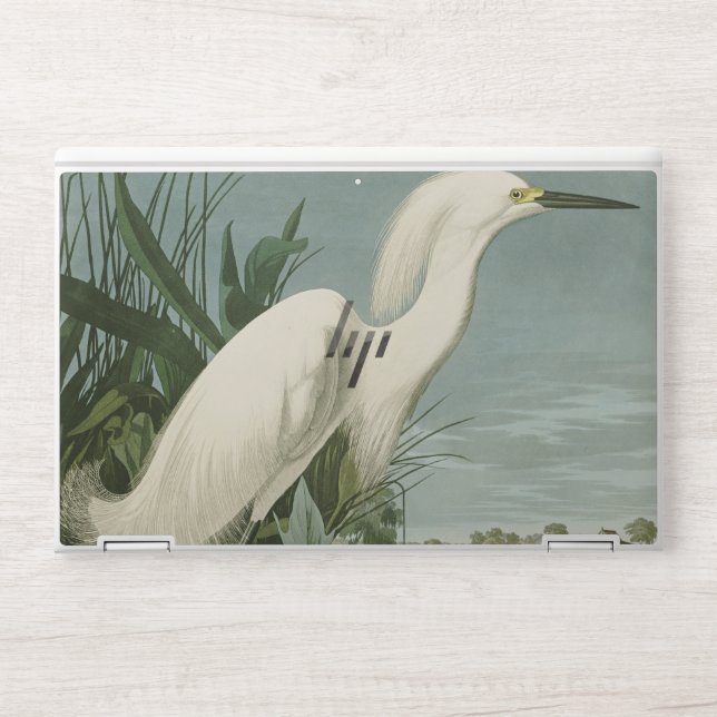 Audubon Snowy Heron White Egret Bird Birding HP Laptop Skin (Front)