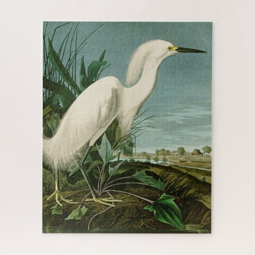 Audubon Snowy Heron White Egret Bird Birding Jigsaw Puzzle