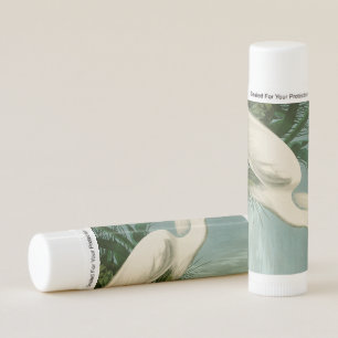 Audubon Snowy Heron White Egret Bird Birding Lip Balm
