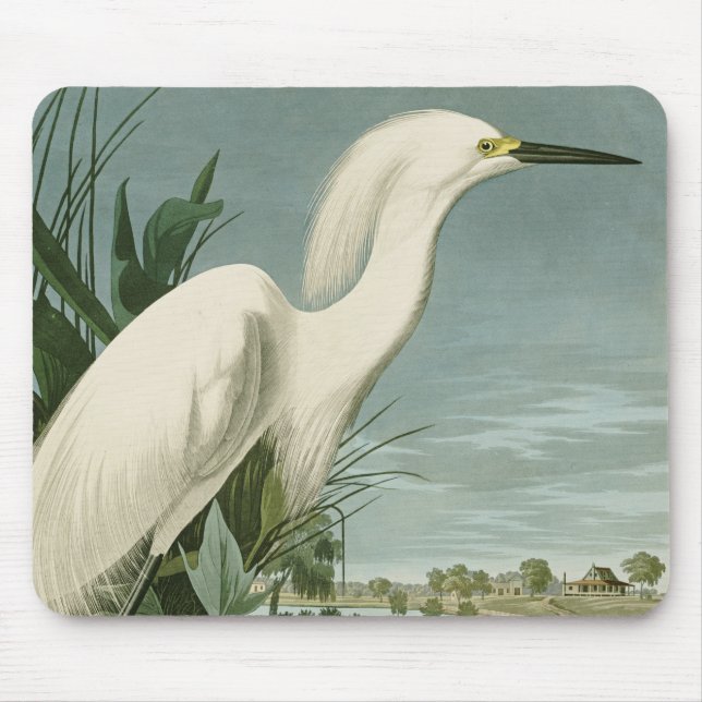 Audubon Snowy Heron White Egret Bird Birding Mouse Pad (Front)