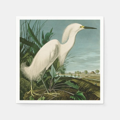 Audubon Snowy Heron White Egret Bird Birding Napkins