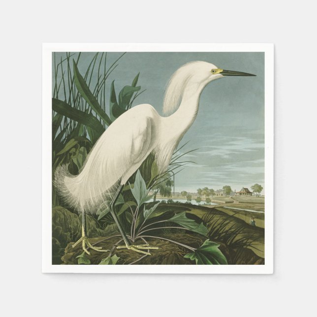 Audubon Snowy Heron White Egret Bird Birding Napkins (Front)