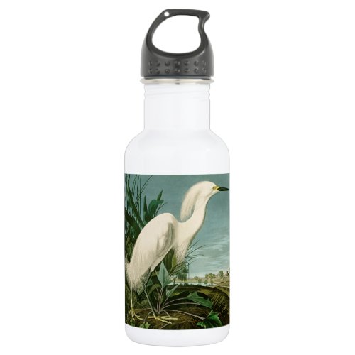 Audubon Snowy Heron White Egret Bird Birding Stainless Steel Water Bottle