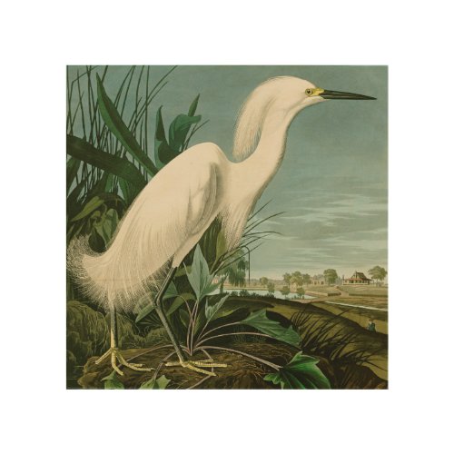 Audubon Snowy Heron White Egret Bird Birding Wood Wall Art