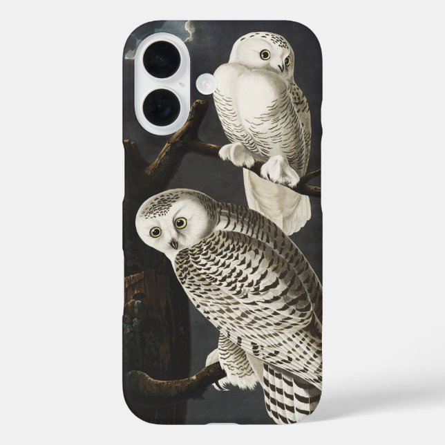 Audubon Snowy Owl Bird Artwork Case-Mate iPhone Case (Back)