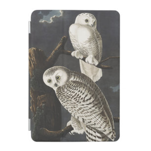 Audubon Snowy Owl Bird Artwork iPad Mini Cover