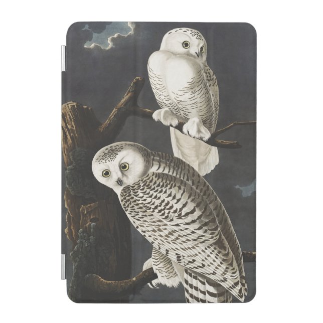 Audubon Snowy Owl Bird Artwork iPad Mini Cover (Front)