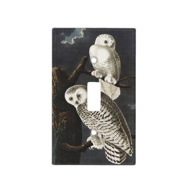 Audubon Snowy Owl Bird Artwork Light Switch Cover (Front)