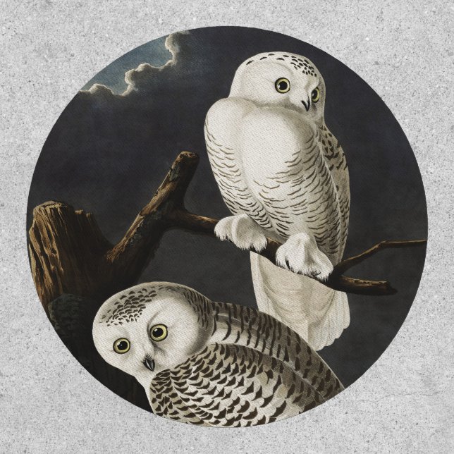Audubon Snowy Owl Bird Artwork Patch (Front)