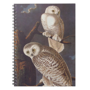 Audubon Snowy White Owls on a Dark Cloudy Night Notebook