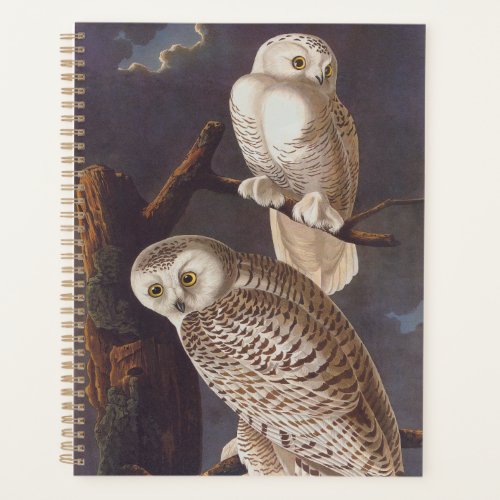 Audubon Snowy White Owls on a Dark Cloudy Night Planner