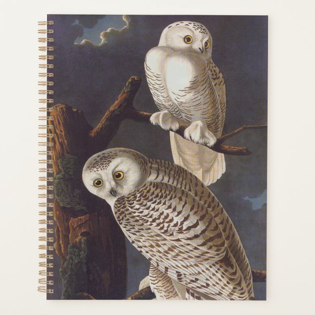 Audubon Snowy White Owls on a Dark Cloudy Night Planner (Front)
