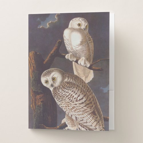 Audubon Snowy White Owls on a Dark Cloudy Night Pocket Folder