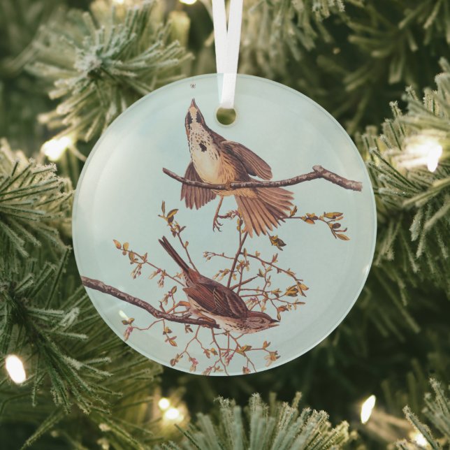 Audubon Song Sparrow with Tiny Spider Glass Ornament (Insitu)