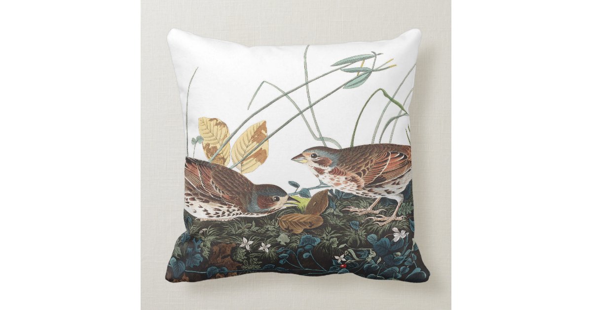 Sparrow & Wren Minky Plush Throw - 100% Exclusive Multi Color