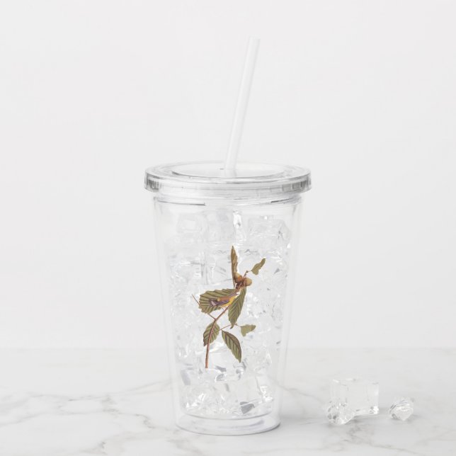 Audubon Swainson's Warbler Bird on Oak Branch Acrylic Tumbler (Back Ice)