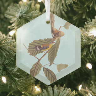 Audubon Swainson's Warbler Bird on Oak Branch Glass Ornament