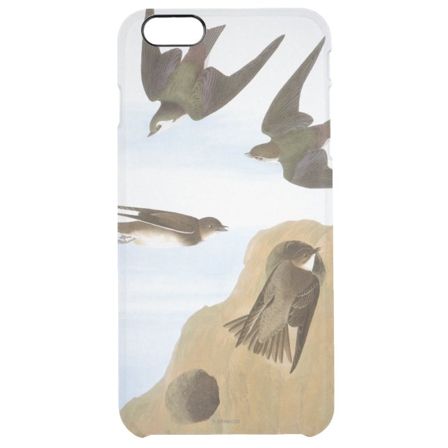 Audubon: Swallows Uncommon iPhone Case (Back)
