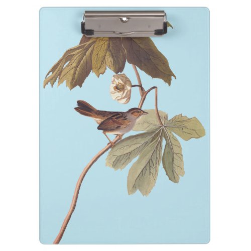 Audubon Swamp Sparrow Bird on Wild Mandrake Clipboard