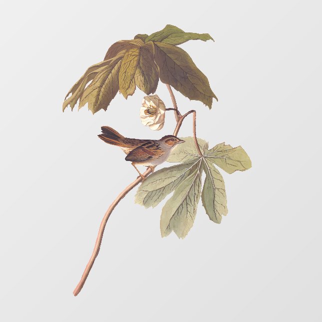 Audubon Swamp Sparrow Bird on Wild Mandrake Window Cling (Sheet)