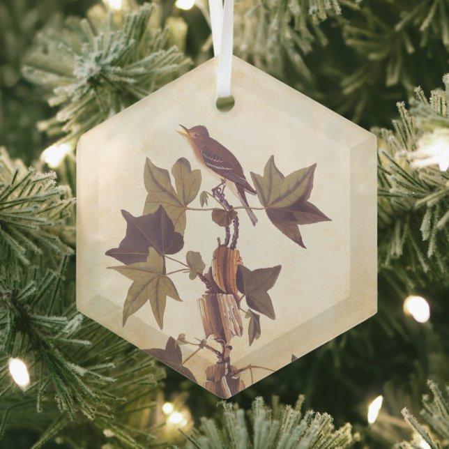 Audubon Traill's Flycatcher Songbird Glass Ornament (Insitu)