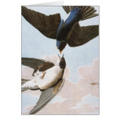 Audubon: Tree Swallow (Front)
