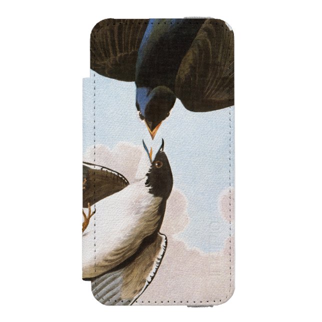 Audubon: Tree Swallow Incipio iPhone Wallet Case (Folio Front)