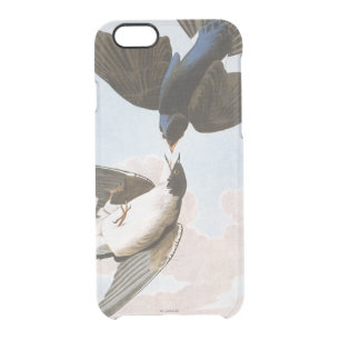 Audubon: Tree Swallow Clear iPhone 6/6S Case