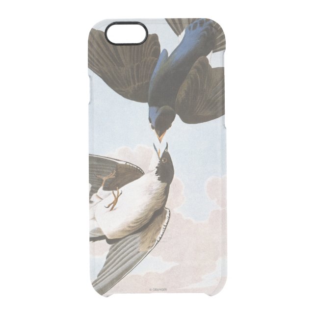 Audubon: Tree Swallow Uncommon iPhone Case (Back)