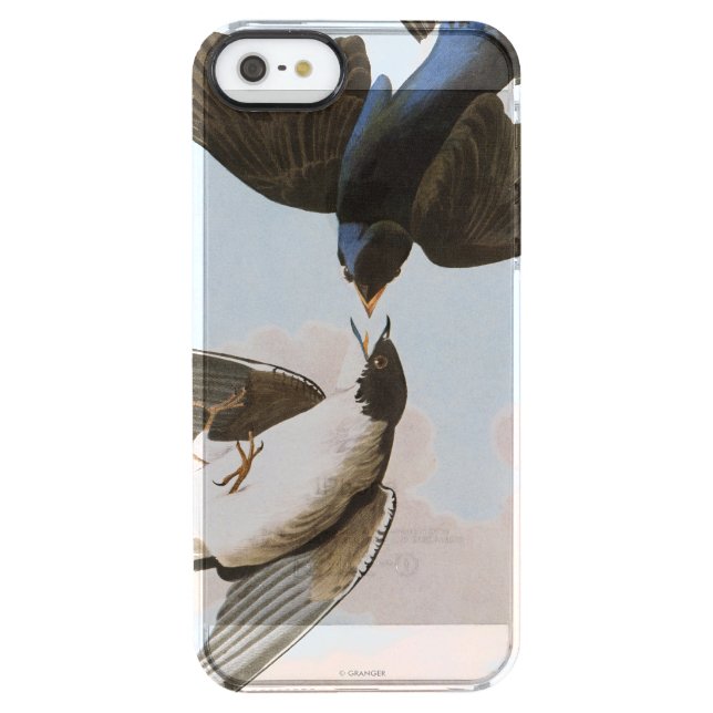 Audubon: Tree Swallow Uncommon iPhone Case (Back)
