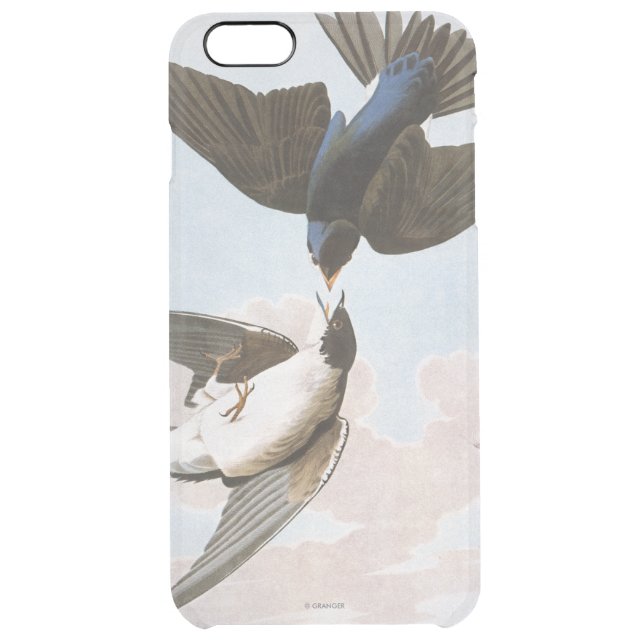 Audubon: Tree Swallow Uncommon iPhone Case (Back)