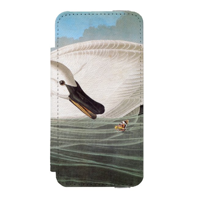 Audubon: Trumpeter Swan Incipio iPhone Wallet Case (Folio Front)