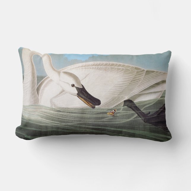Audubon: Trumpeter Swan Lumbar Pillow (Front)
