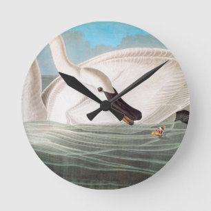 Audubon: Trumpeter Swan Round Clock