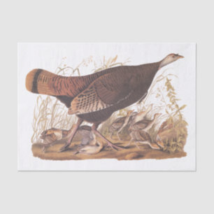 Audubon Turkey Hen and Chicks in Autumn Tissue Paper