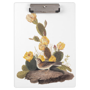Audubon Vesper Sparrow and Prickly Pear Cactus Clipboard