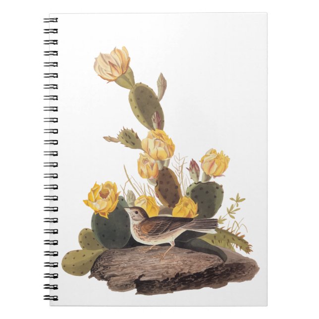 Audubon Vesper Sparrow and Prickly Pear Cactus Notebook (Front)