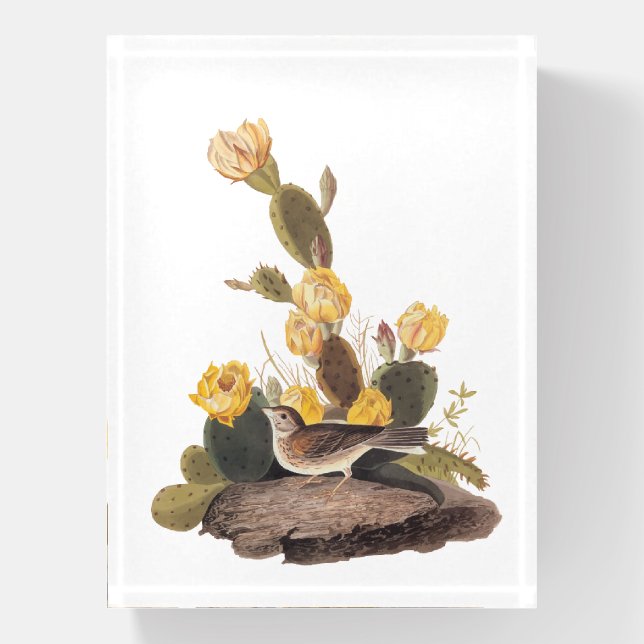 Audubon Vesper Sparrow and Prickly Pear Cactus Paperweight (Vertical)