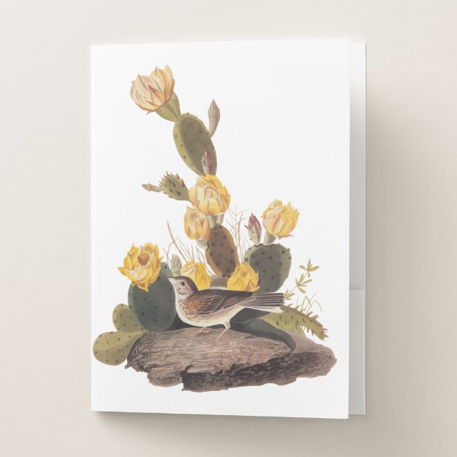 Audubon Vesper Sparrow and Prickly Pear Cactus Pocket Folder (Front)