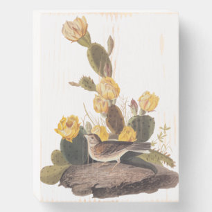 Audubon Vesper Sparrow and Prickly Pear Cactus Wooden Box Sign