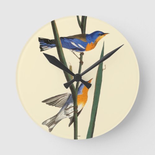 Audubon Warbler Round Clock