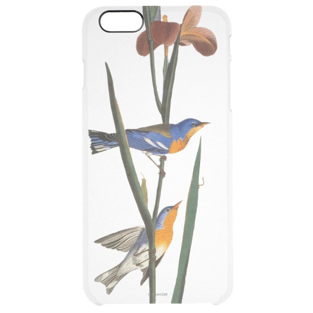 Audubon: Warbler Uncommon iPhone Case (Back)