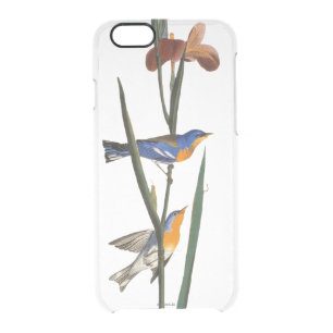 Audubon: Warbler Clear iPhone 6/6S Case