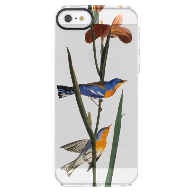 Audubon: Warbler Uncommon iPhone Case (Back)
