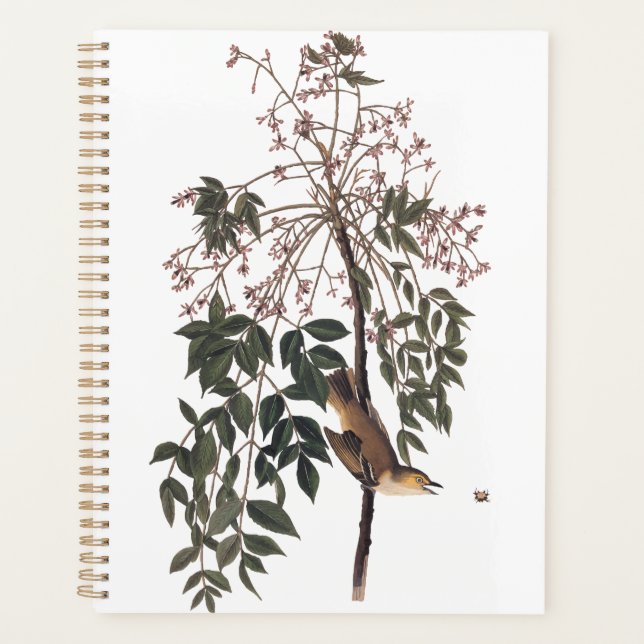 Audubon White Eyed Vireo Song Bird Art Planner (Front)
