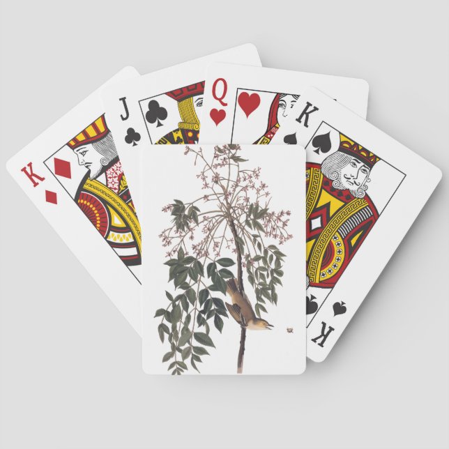 Audubon White Eyed Vireo Song Bird Art Poker Cards (Back)