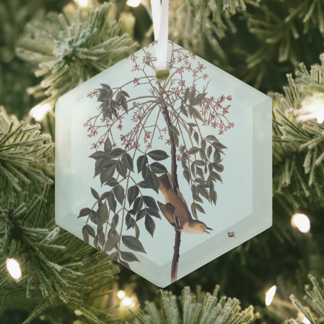 Audubon White Eyed Vireo Song Bird Art Throw Blank Glass Ornament (Insitu)