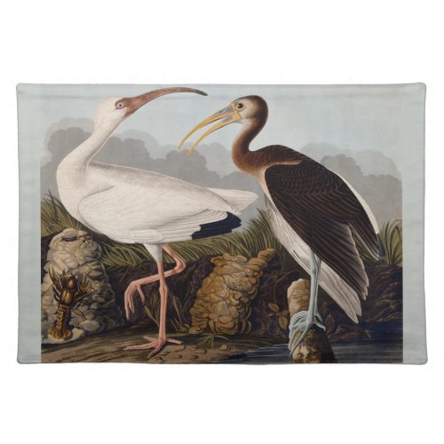 Audubon White Ibis Bird Wildlife Cloth Placemat