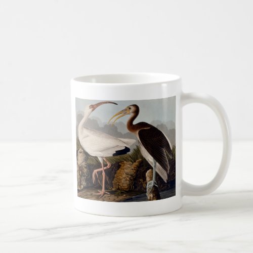 Audubon White Ibis Bird Wildlife Coffee Mug