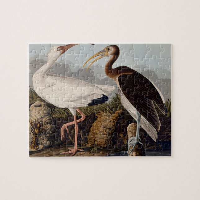 Audubon White Ibis Bird Wildlife Jigsaw Puzzle (Horizontal)